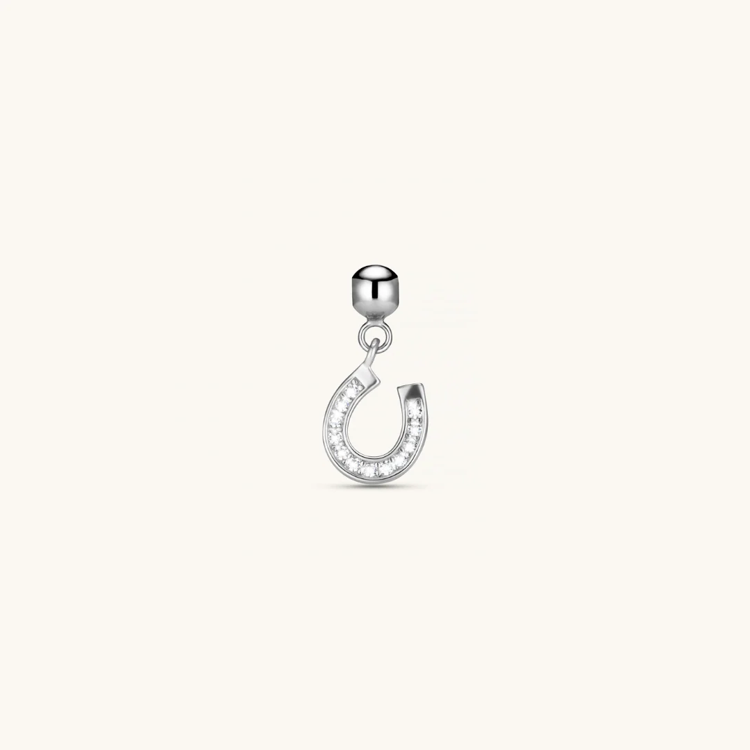 Good Luck Horseshoe Charm Silver